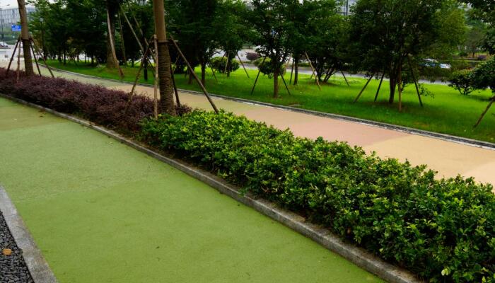 節能手机看片91AV