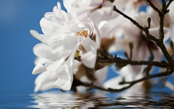 螺杆手机看片91AV